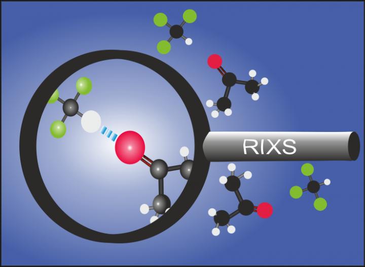 C=O Bond Is Influenced Via Formation of Hydrogen Bonds