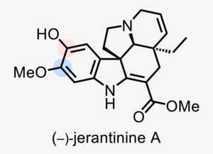 JA Structure