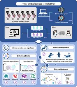 Triple-blind randomized controlled trial shows that maternal vaginal microbiota seeding has positive effects