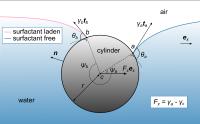Schematic Describing Interaction of a Partly Submerged Cylinder with a Surfactant-Laden and Surfacta