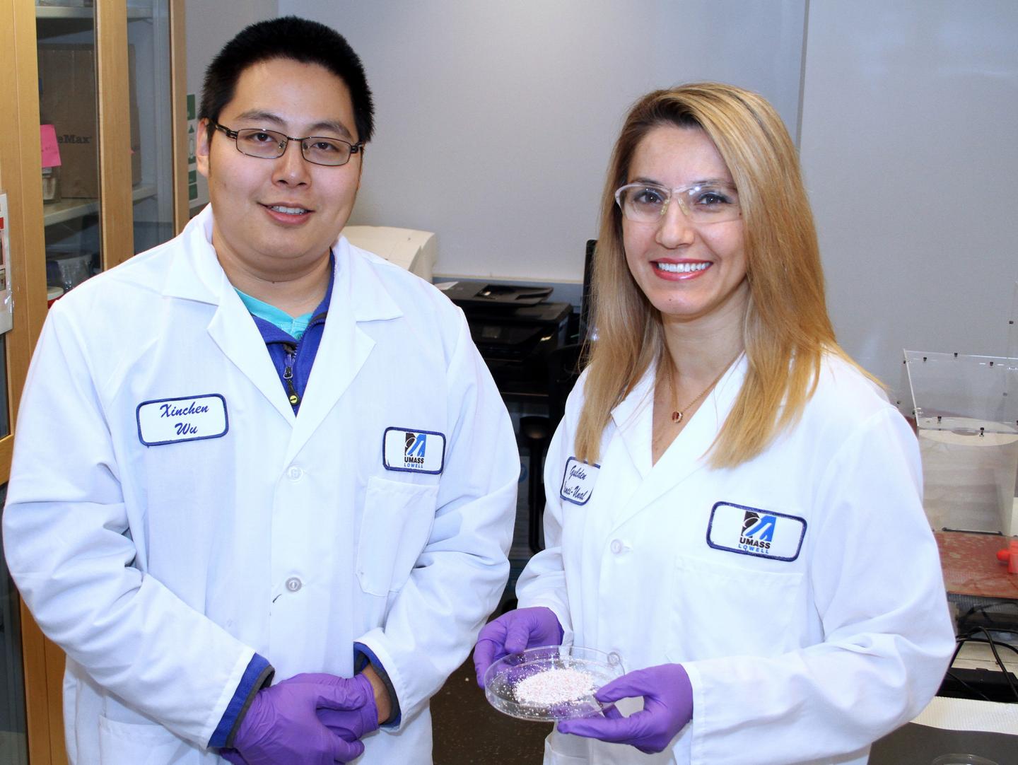 UMass Lowell Researchers Identify Eggshells for Use in Growing Bone in Laboratory
