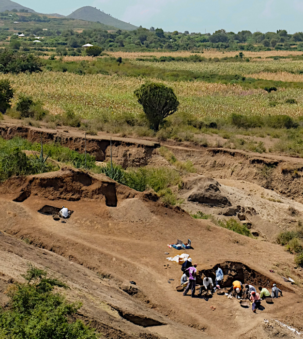 Nyayanga site being excavated in July 2016