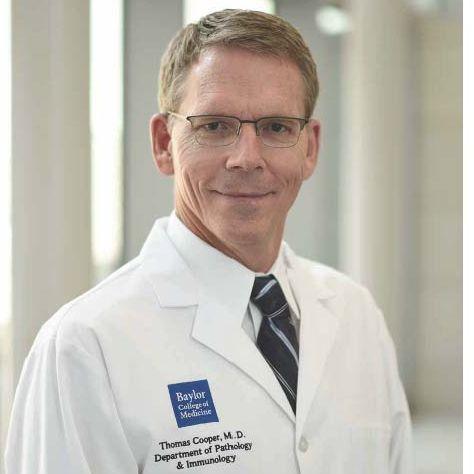 The Corresponding Author of This Work