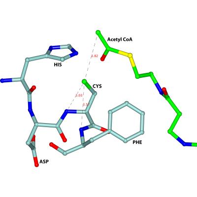 Blocking the Active Site of Thiolase