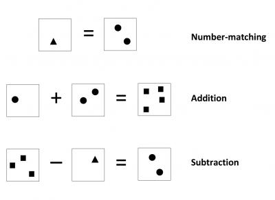 Numerical and Arthimetic Tasks in Dyscalculia Study