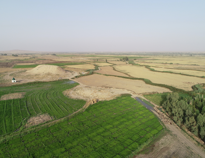Ancient Mesopotamian Discovery Transforms Knowledge of Early Farming