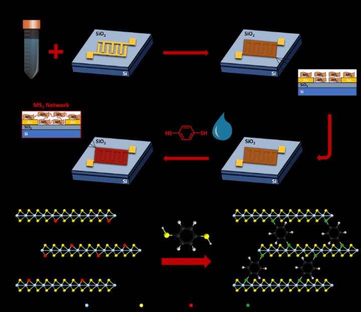 Molecular bridges provide researchers with a new tool to tailor the conductivity of TMD inks on demand.