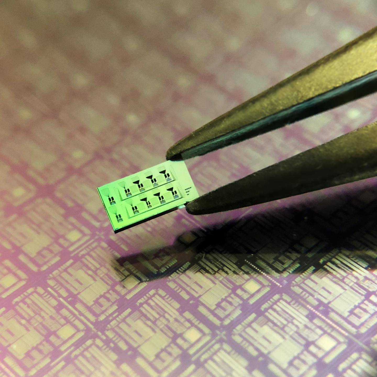 Silicon chip with multiple detectors