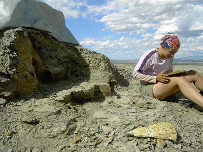 Researcher in the Field