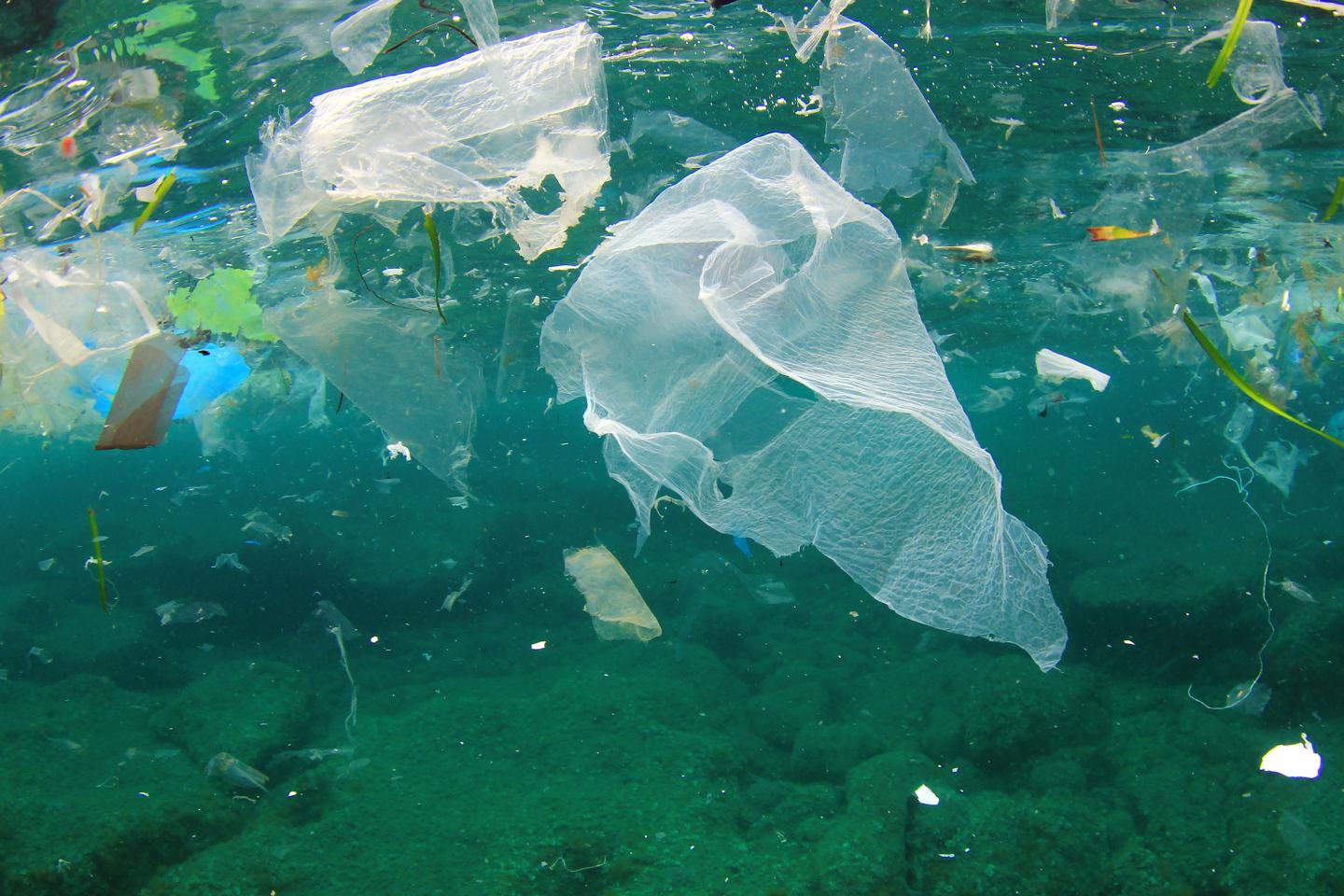 NUI Galway and UL Study Plastic Pollution