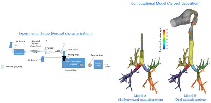 Administering albuterol via ventilator.