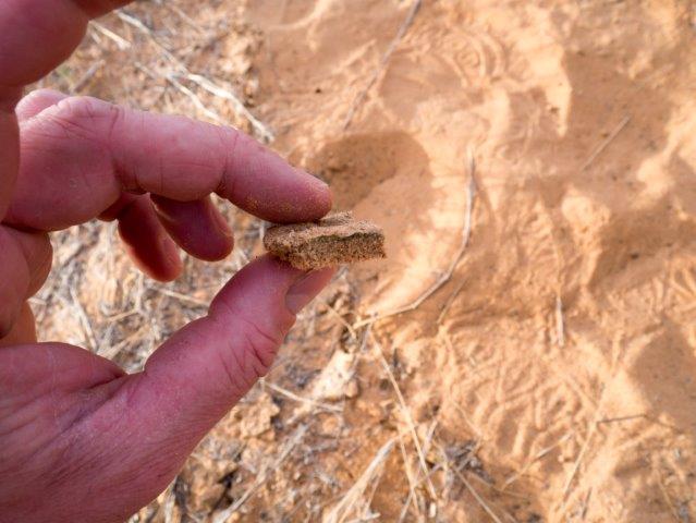 Botswana Soil Crust