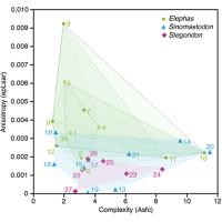 Anisotropy and Complexity Distribution of Dental Microwear in Sinomastodon, Stegodon and Elephas