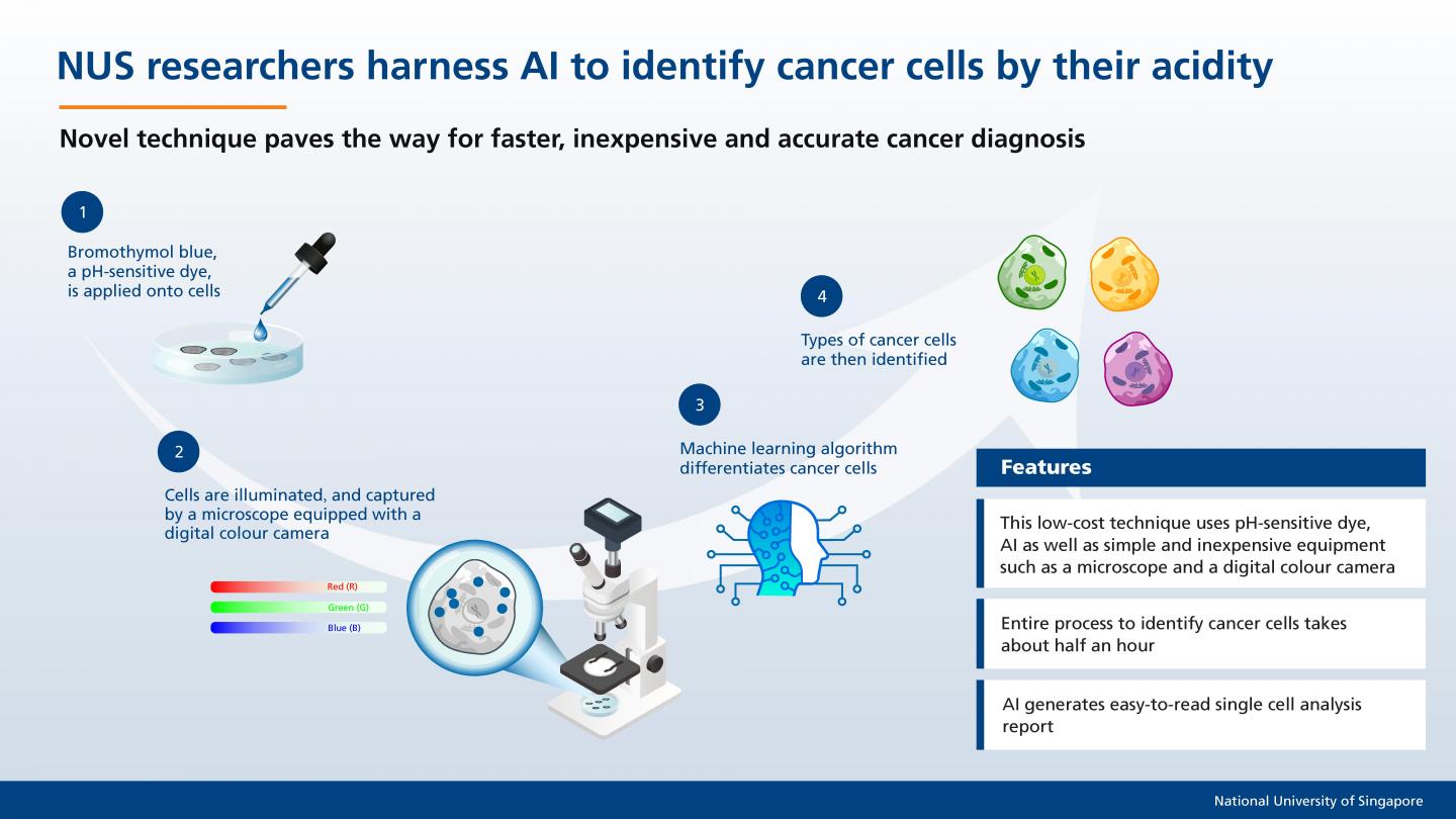 Photo 2: NUS researchers harness AI to identify cancer cells by their acidity