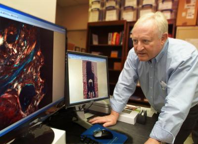 Dr. Ulf Wikesjo, Georgia Health Sciences University