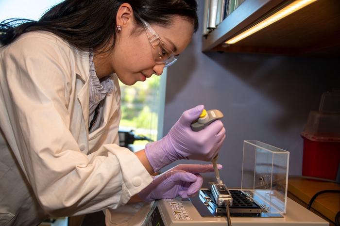 Keio student at the Genomics and Regulatory Systems Unit