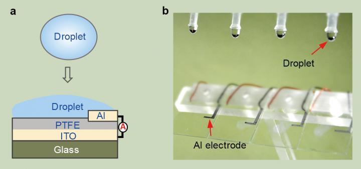 Schematic Diagram and Optical Image of DEG