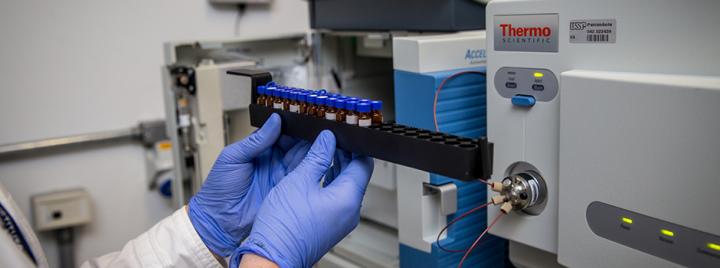 Research Analyzes How Development Clusters Are Born