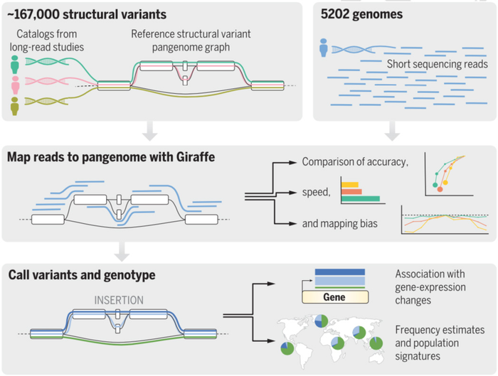 Overview of experiments