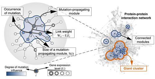Formation of Giant Clusters via Mutation Propagation