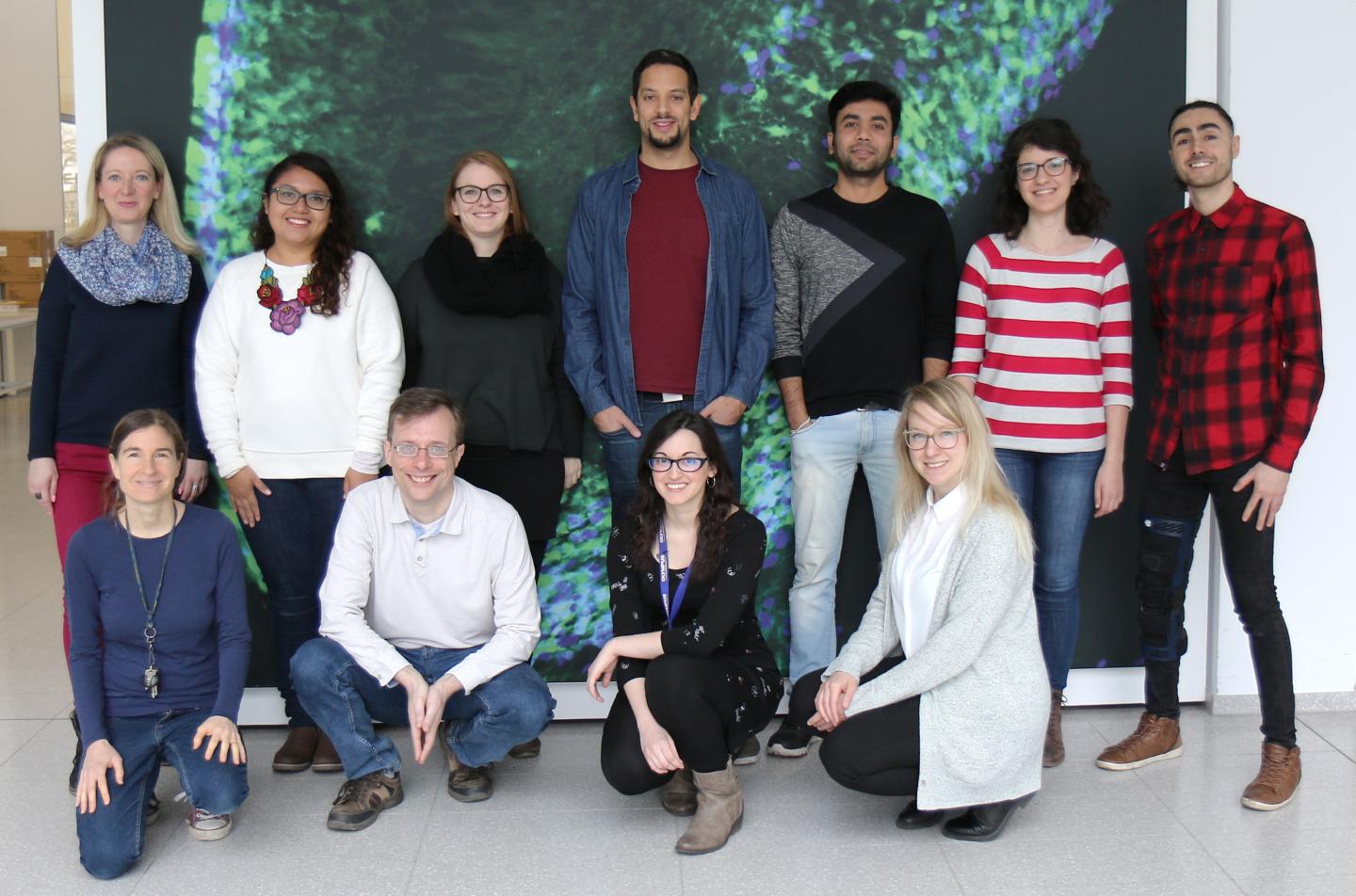 Research Group at the CRTD