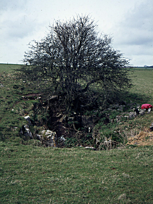 Charterhouse Warren 3