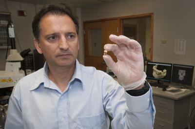 George Kamenov, University of Florida