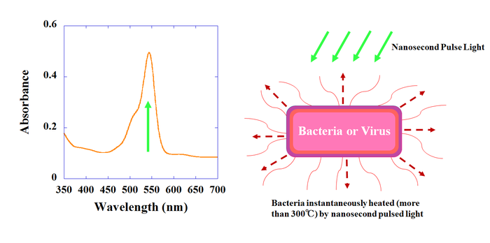 Scientists use a visible-light pulsed laser as a tool for disinfection