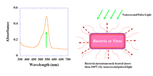 Scientists use a visible-light pulsed laser as a tool for disinfection