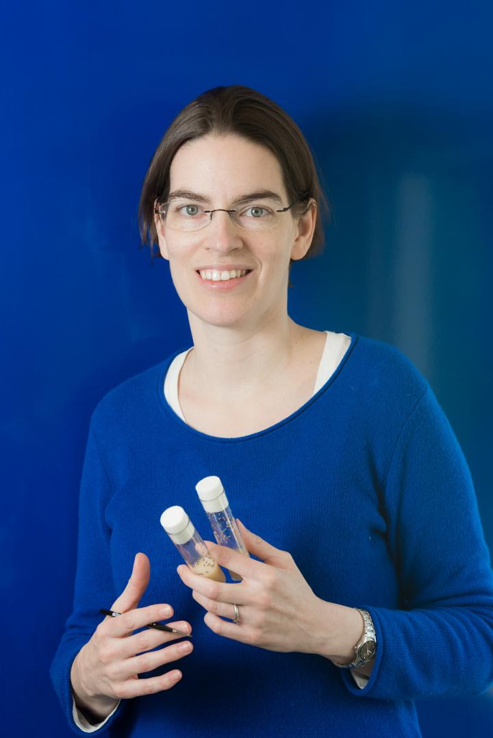 Vicki P. Losick, Ph.D, Mount D [IMAGE] EurekAlert! Science News Releases