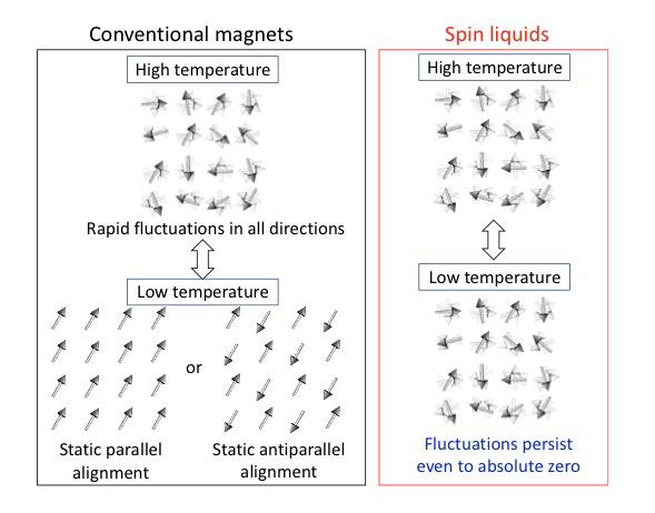 From Abundant Hydrocarbons to Rare Spin Liquids