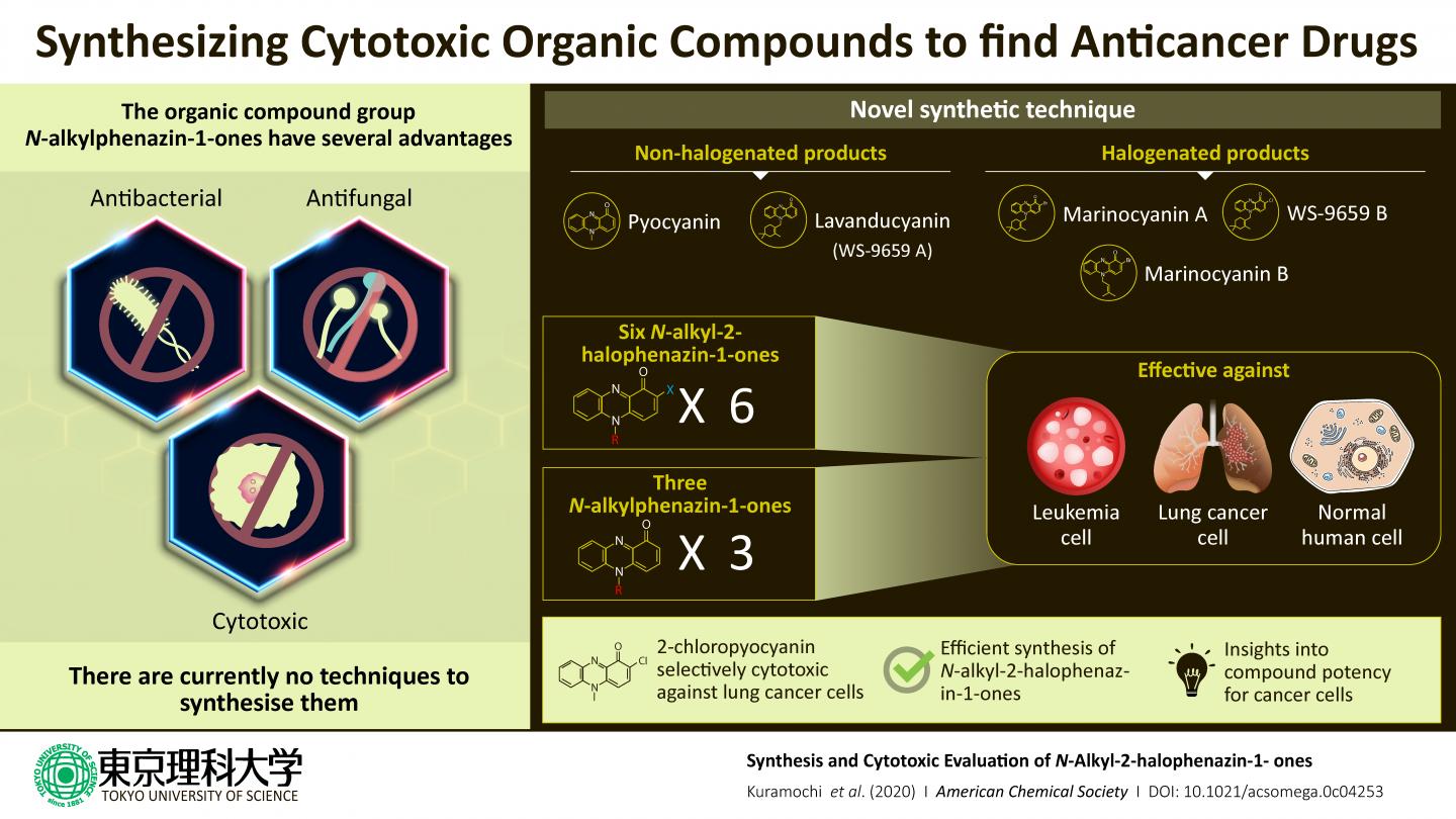 Compounds with Anti-Cancer Properties