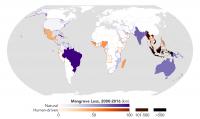 Map of Global Mangrove Forest Loss
