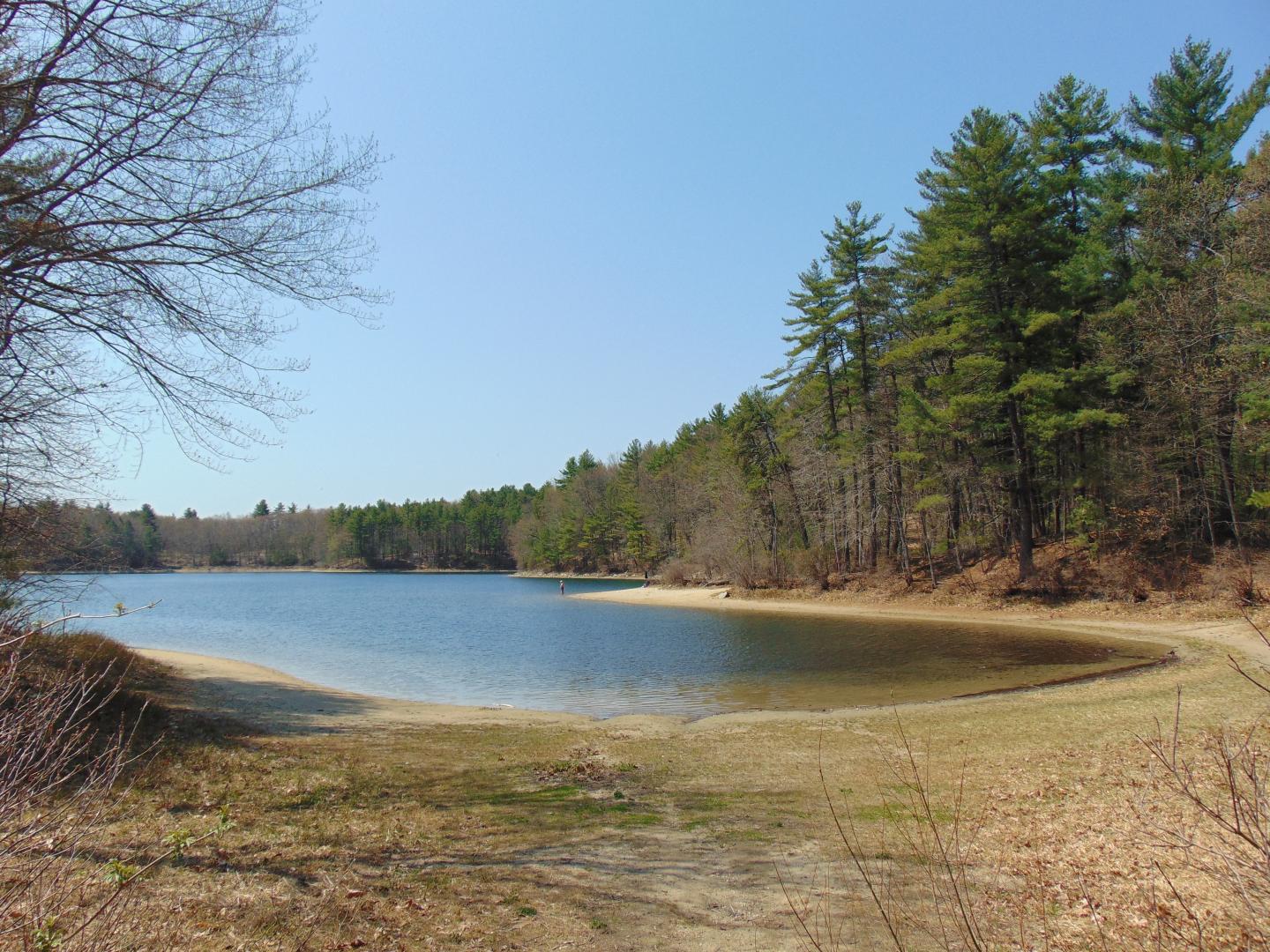 Walden Pond