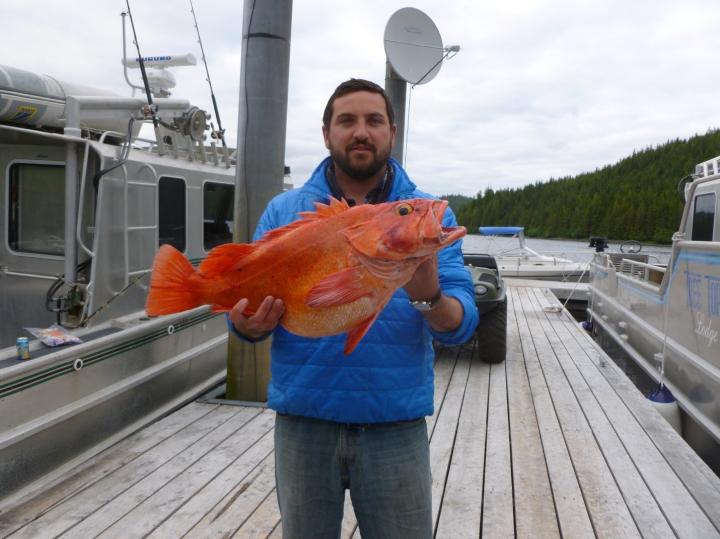 Long-Lived Yelloweye Rockfish Have Difficulty Detoxifying Mercury within Sensitive Liver Cells