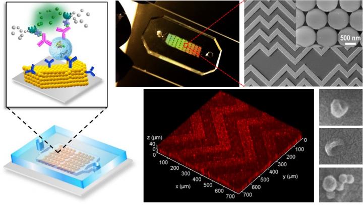 Lab-On-A-Chip Detects Ovarian Cancer