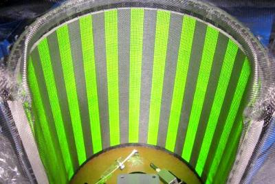 Flight Simulator for Flies