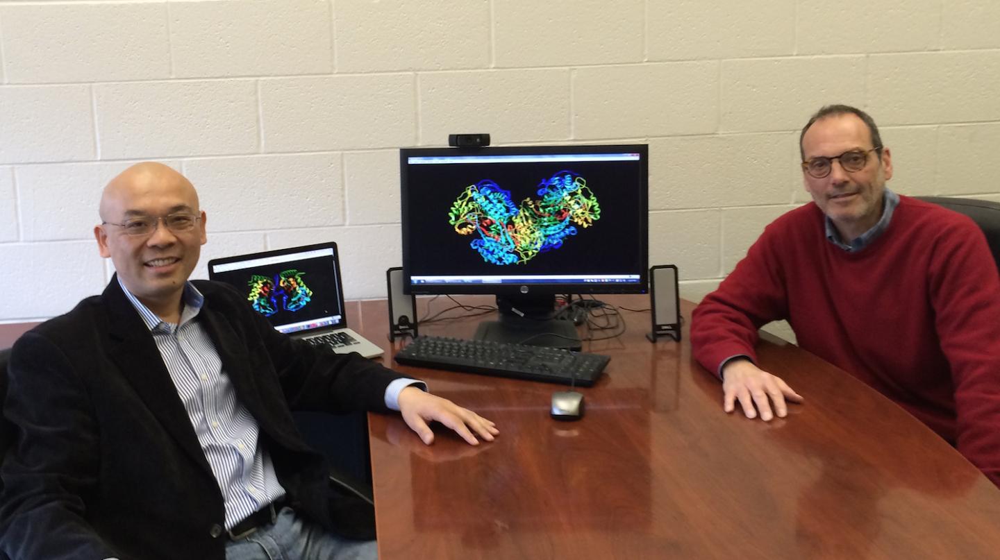 Jianlin Cheng and John Tanner, University of Missouri-Columbia