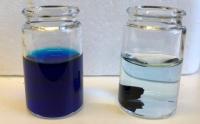 Before and after: water purification test