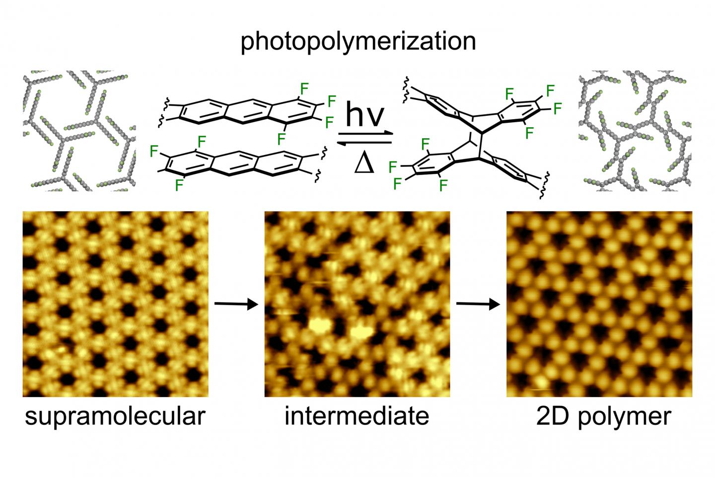 Reaction Path