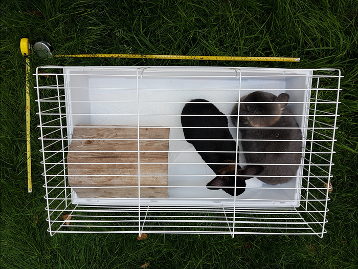 Fig 2. Pet cage available online, declared as suitable for rabbits, hares, and guinea pigs