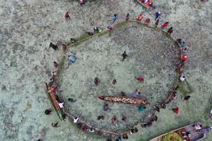 Community Fishery in Solomon Islands