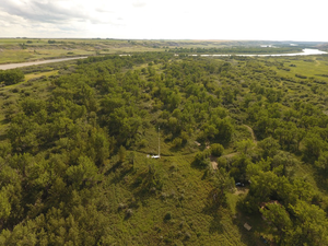 Cottonwood Forest (Overhead View)