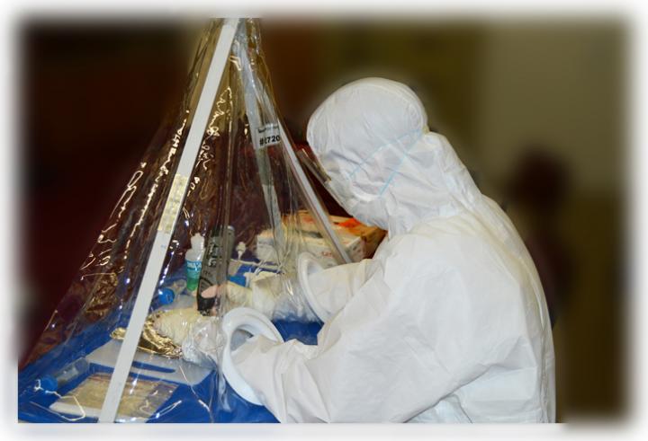 Ancient Genomes Shed Light on Divergence in Human Populations