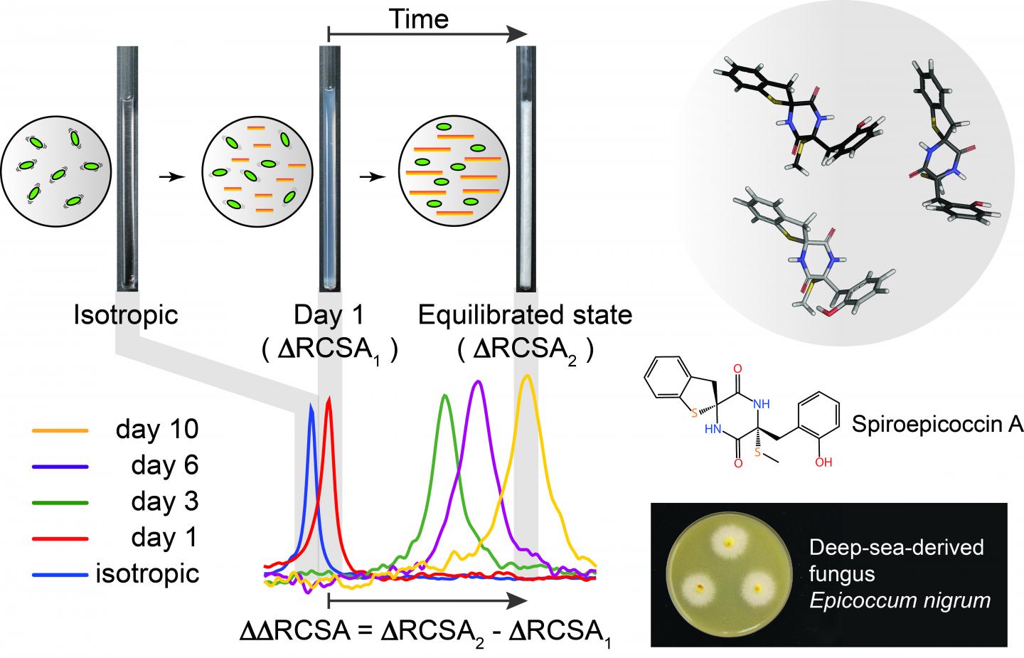 Measuring the Residual Chemical Shift Anisotropy in a Liquid Crystalline Medium