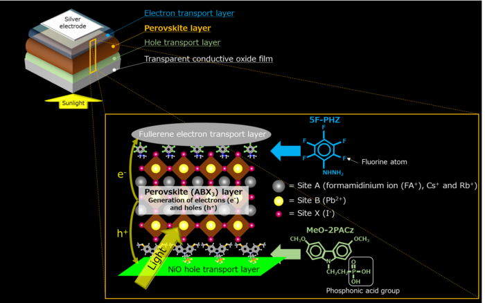 Perovskite solar cell