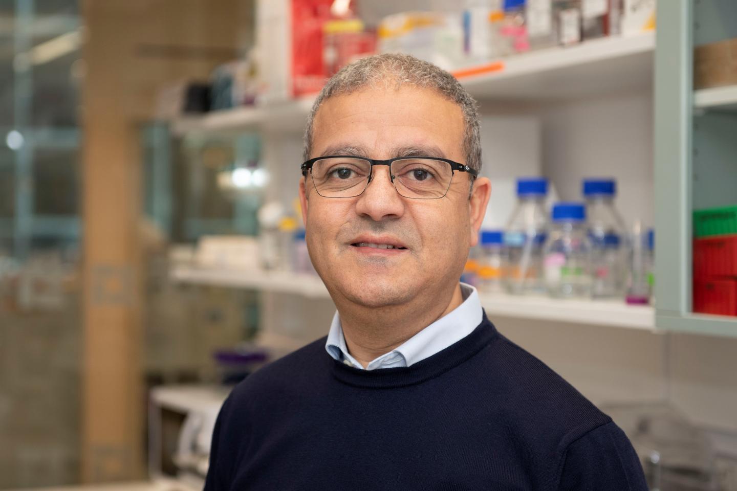 Abdel El Manira, Karolinska Institutet