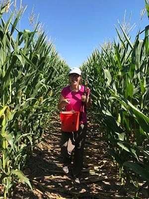 Frances Trail during corn field season