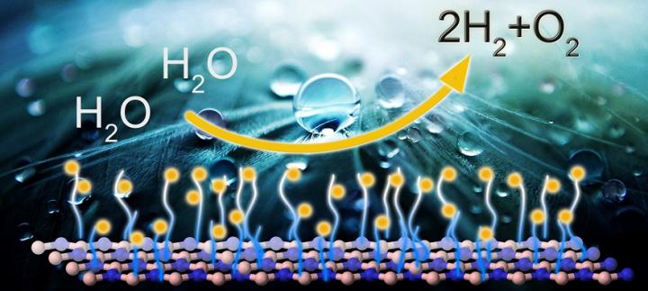 Functionalization of Hexagonal Boron Nitride