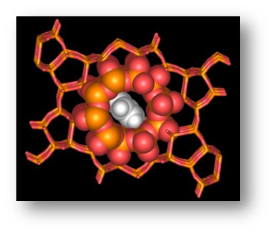 Zeolite Nanoporous Catalyst